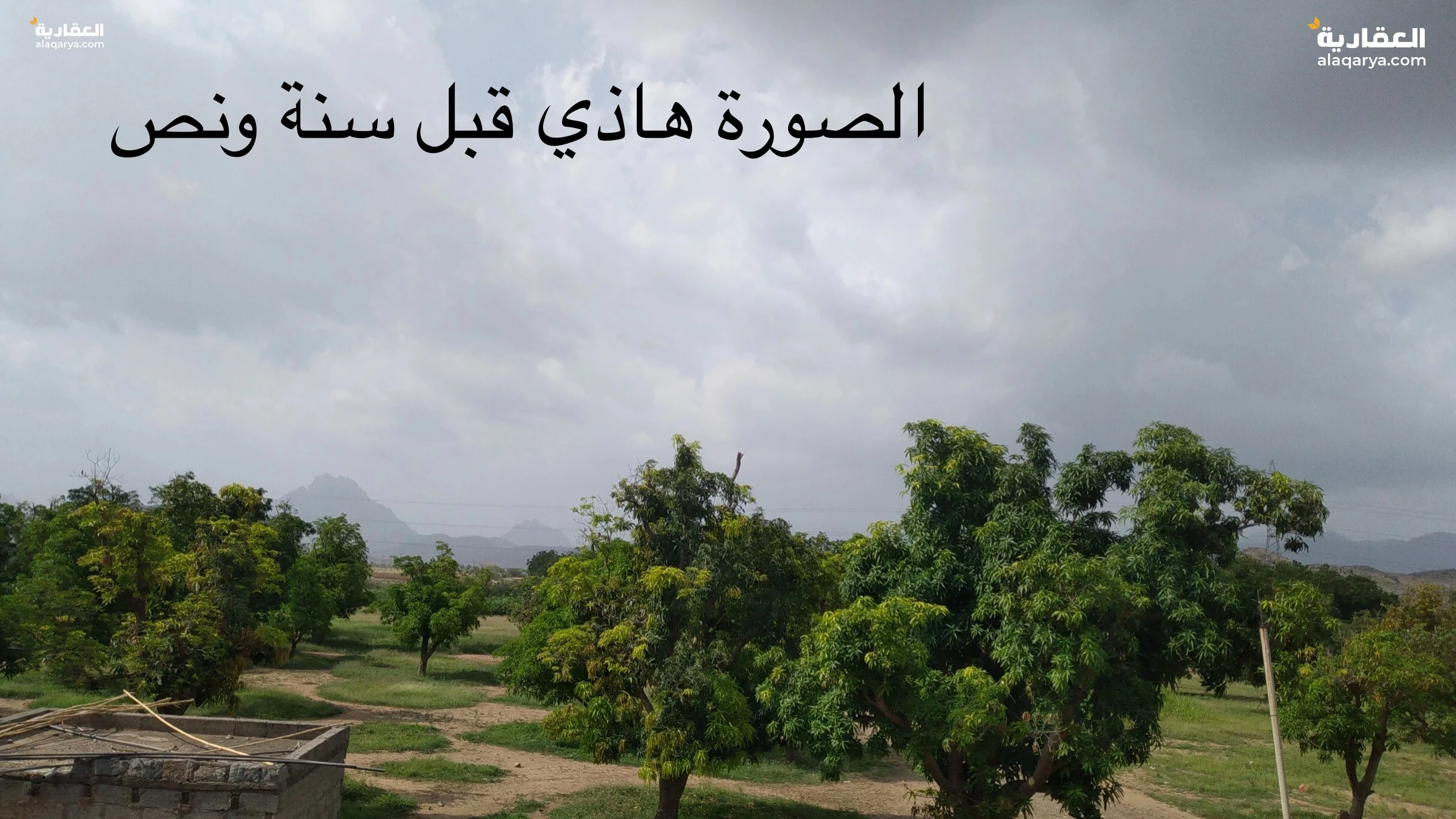 مزرعة للبيع