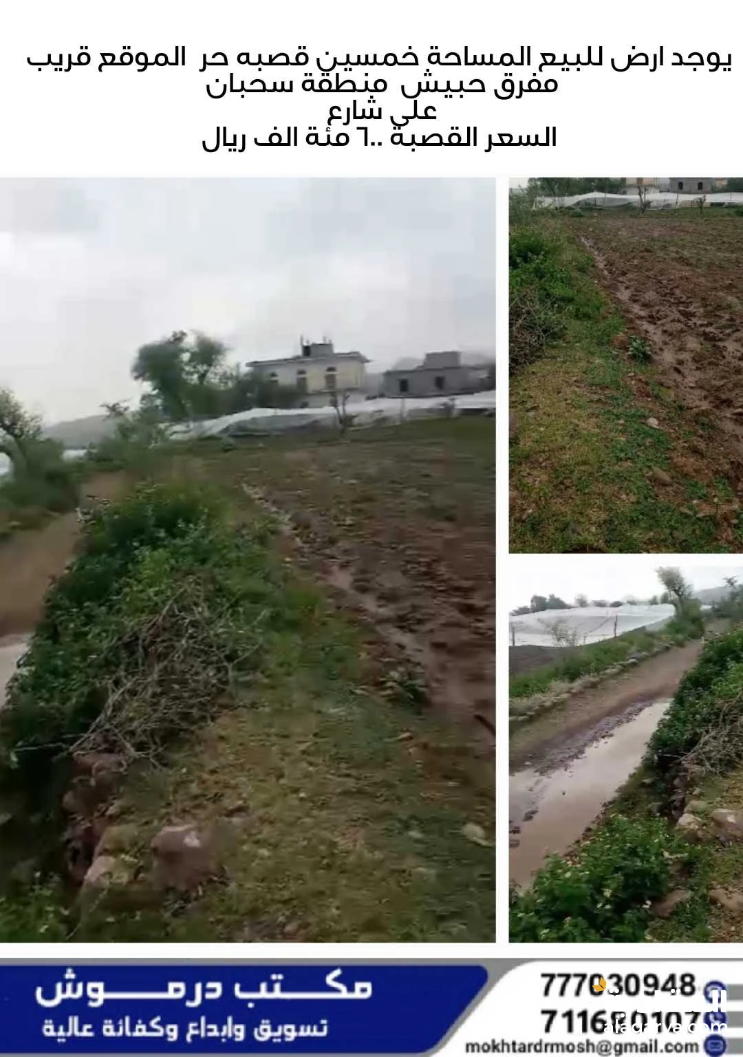 قطعة ارض استثمارية زراعة