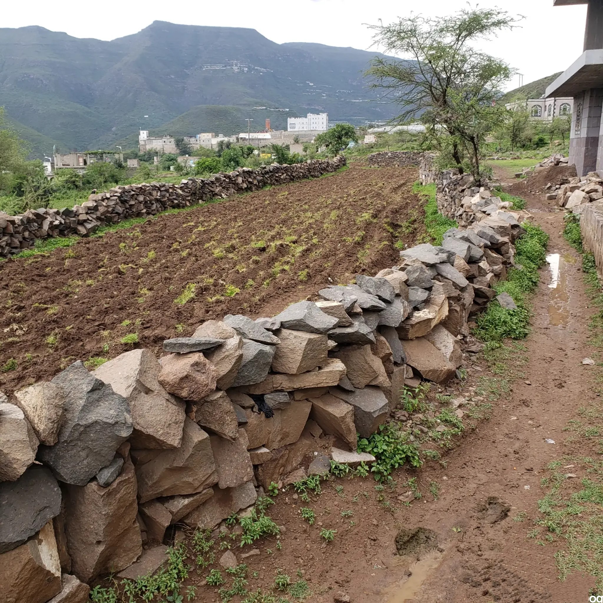 #ارض حر واجهتها 75 متر 17 قصبه