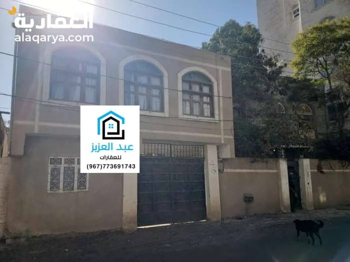 فلة للبيع في صنعاء حده عشر لبن حر