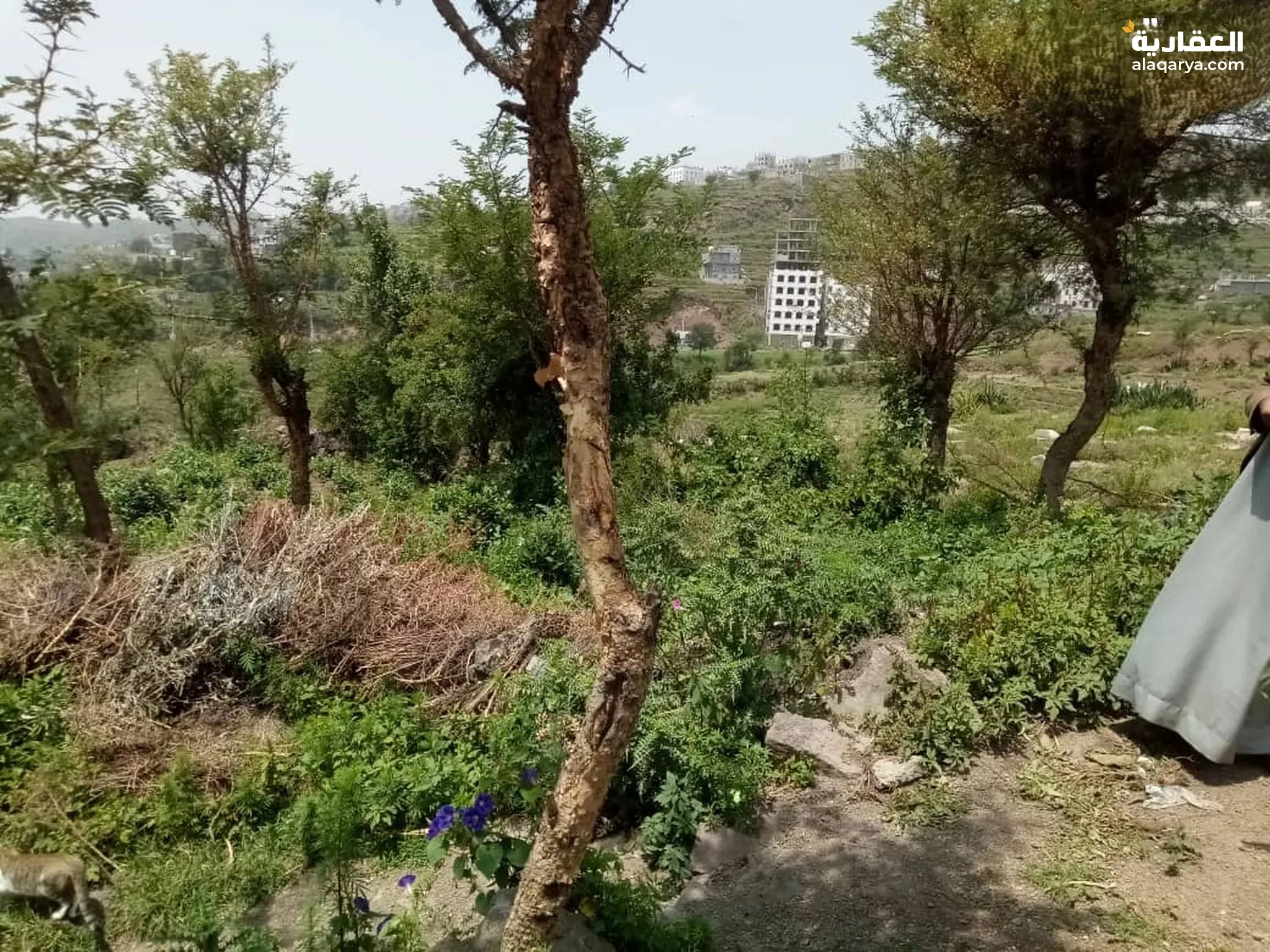 #بيع الاراضي