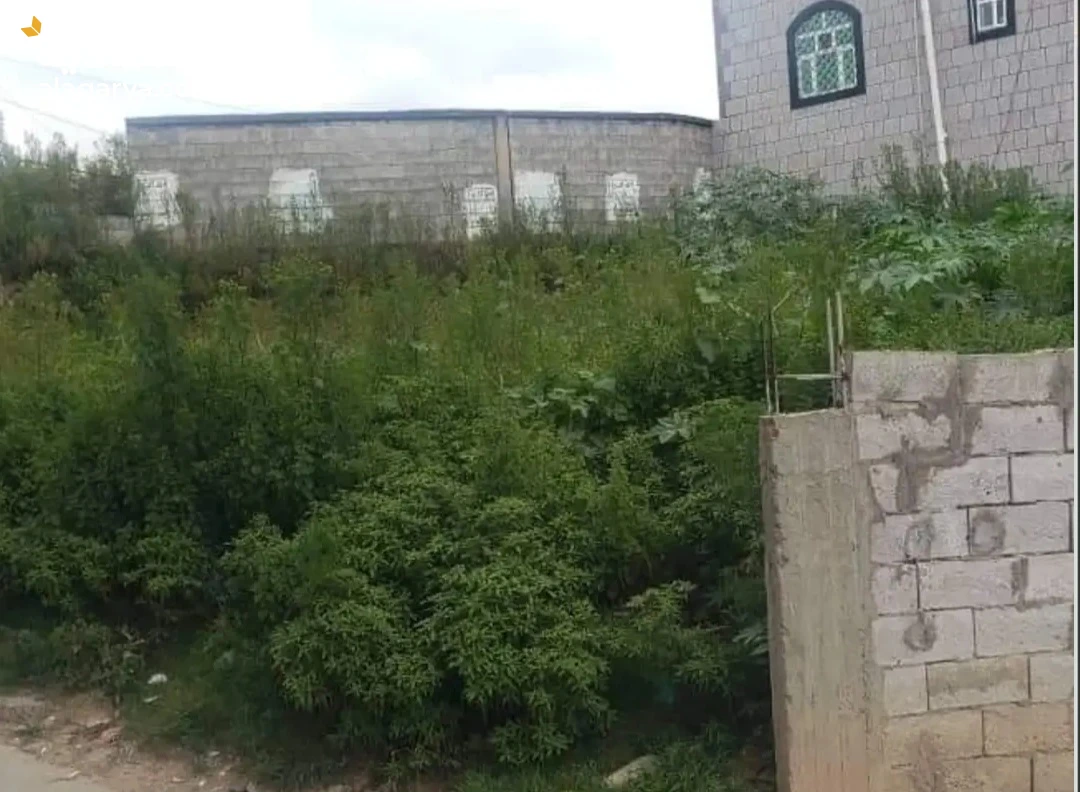 ارض ركنيه شارعين حر معمد للبيع في مدينه إب