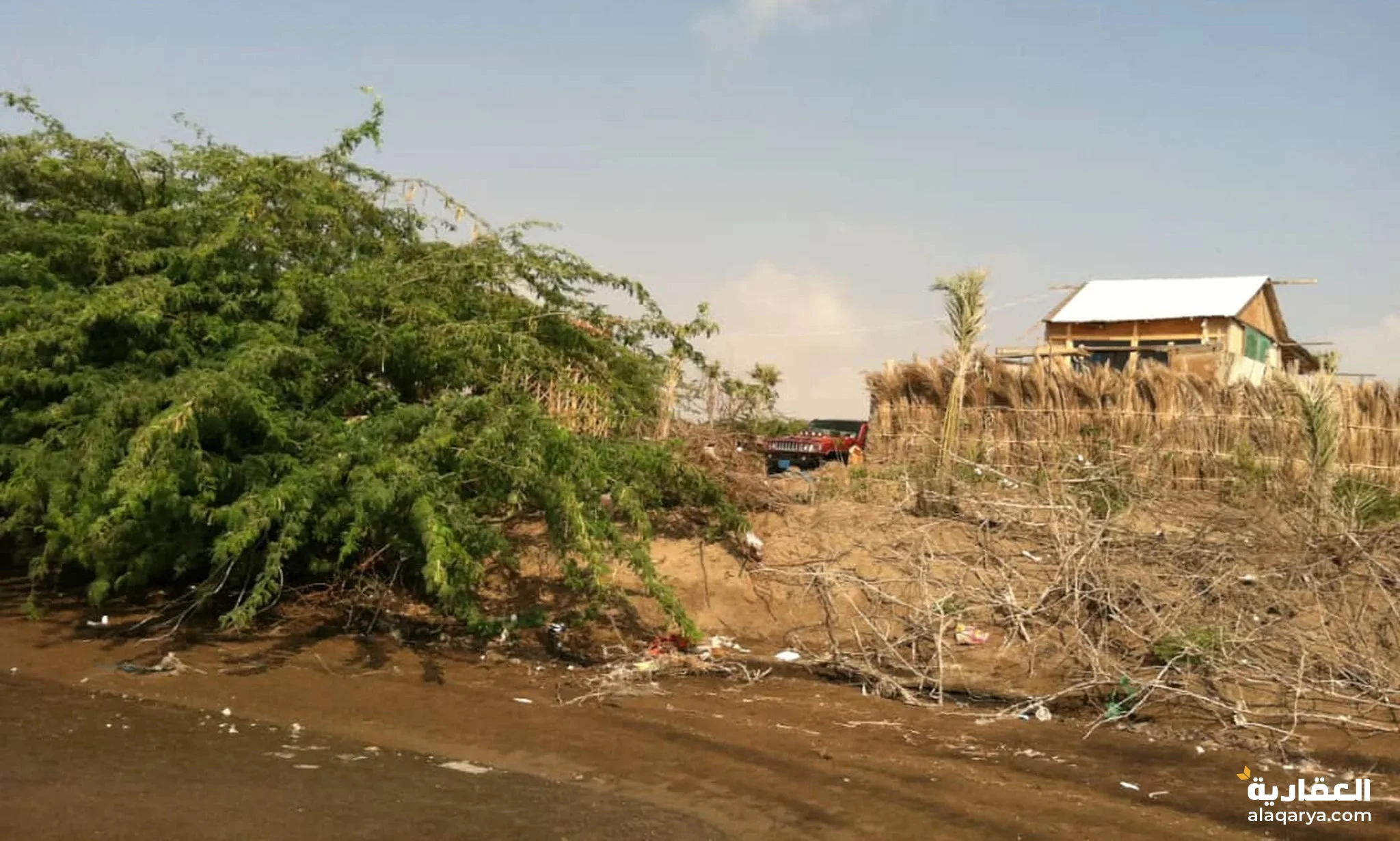 #مزرعه بالحديدة على الخط البحري مساحتها 3معاد. (300لبنه)