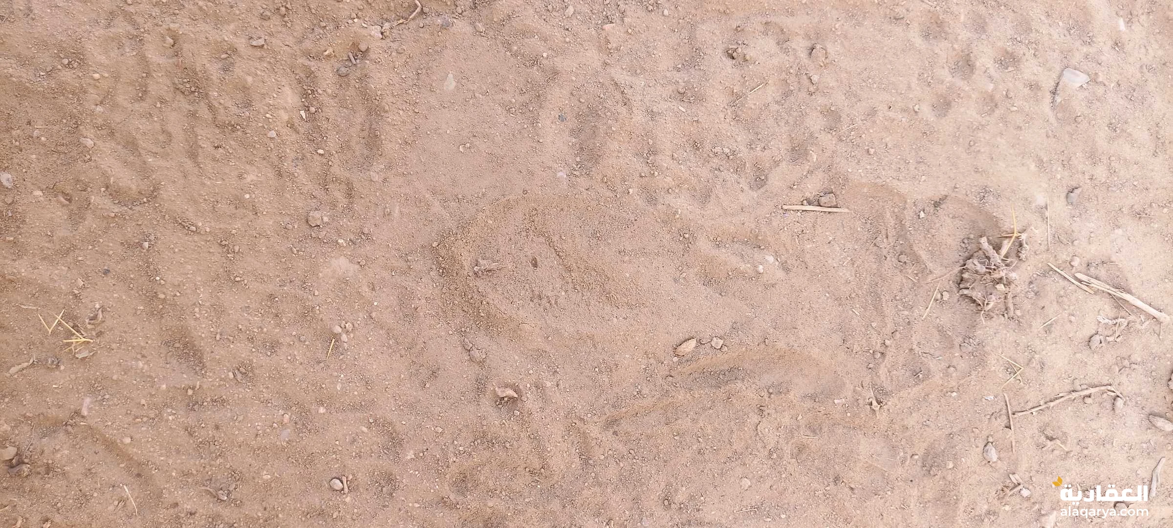 اعلان رقم 4631 للبيع ارض زراعيه في صعده