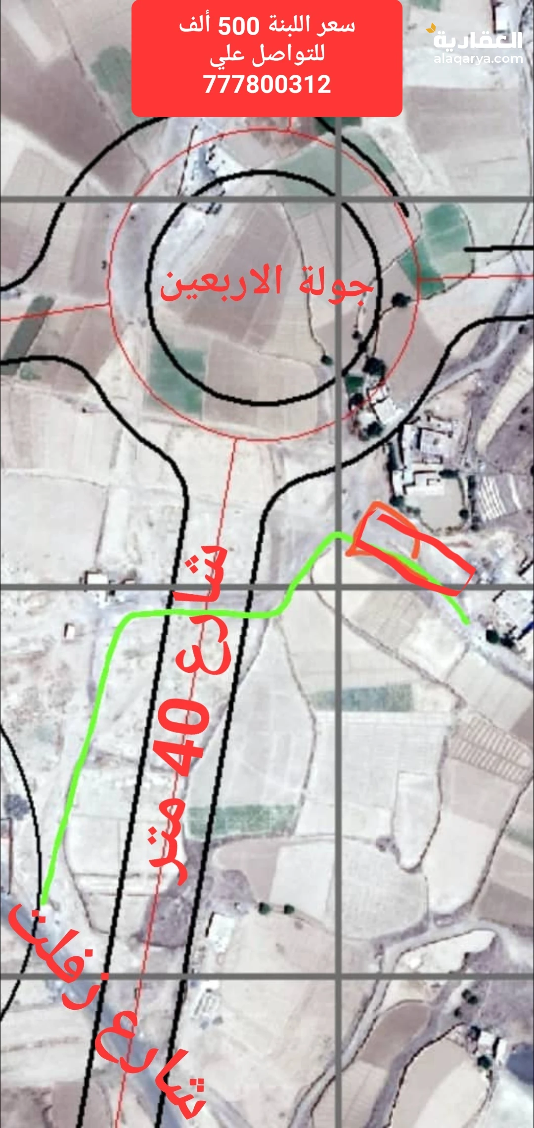 الصباحة ريعان