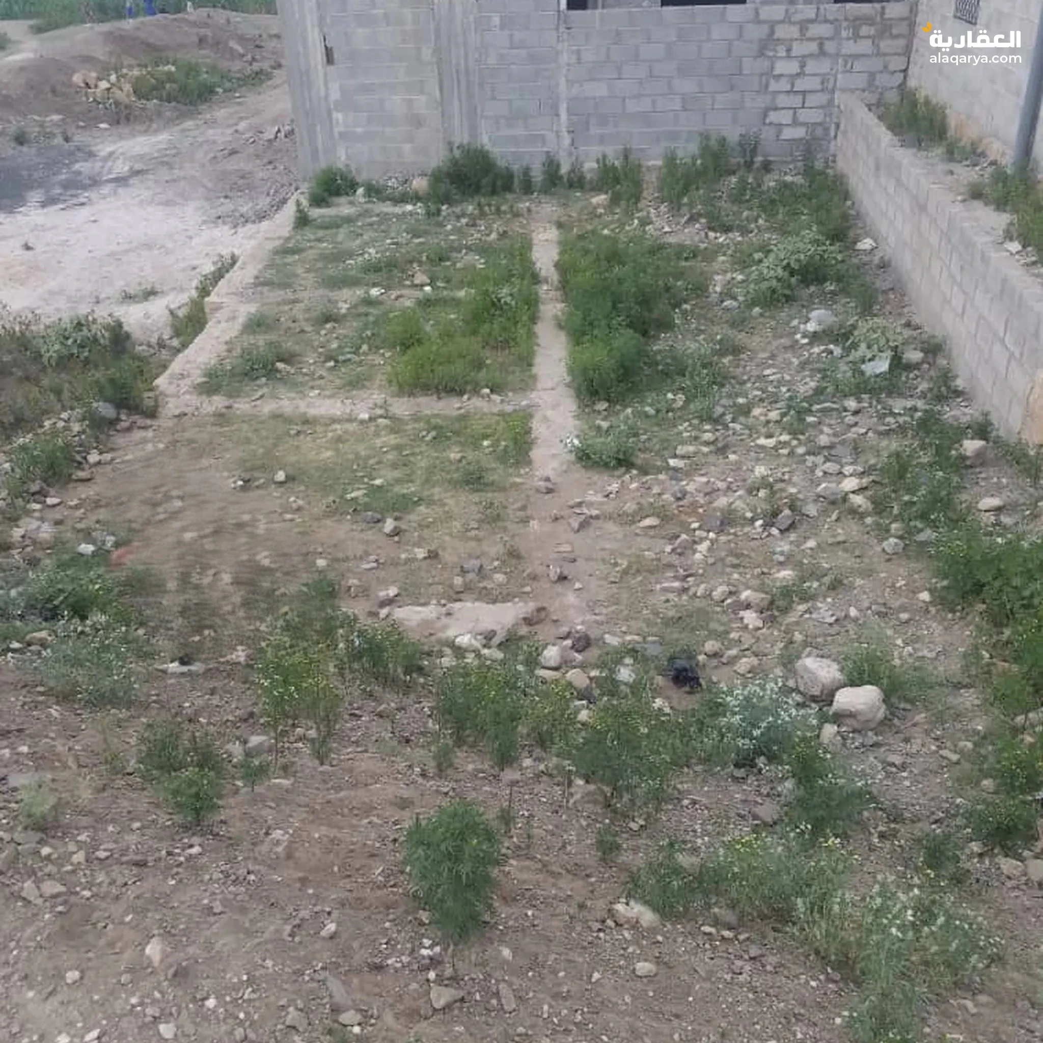 #ارضيه للبيع حاليه لشخص بسيط علئ قد حاله