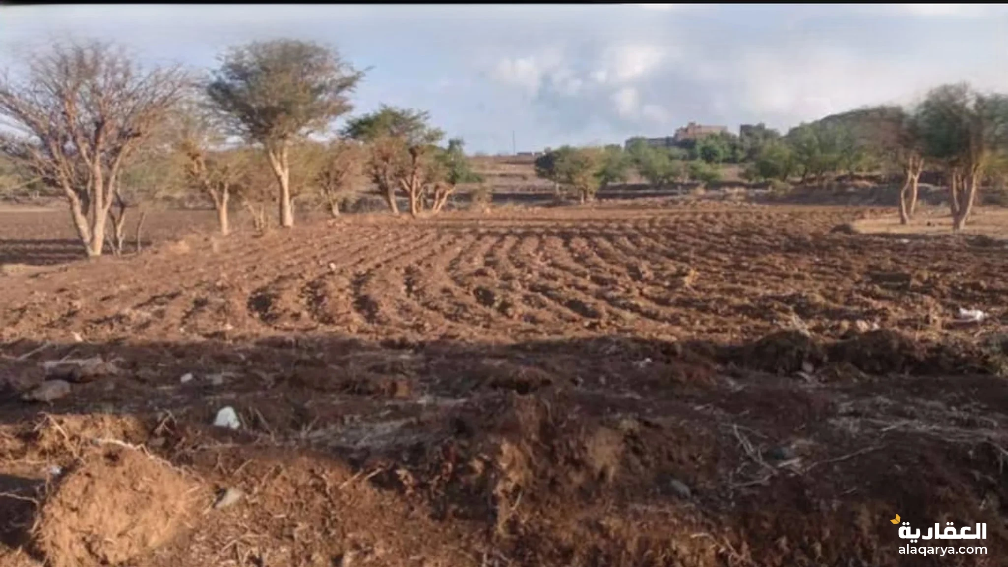#ارض زراعيه للبيع في صباحه