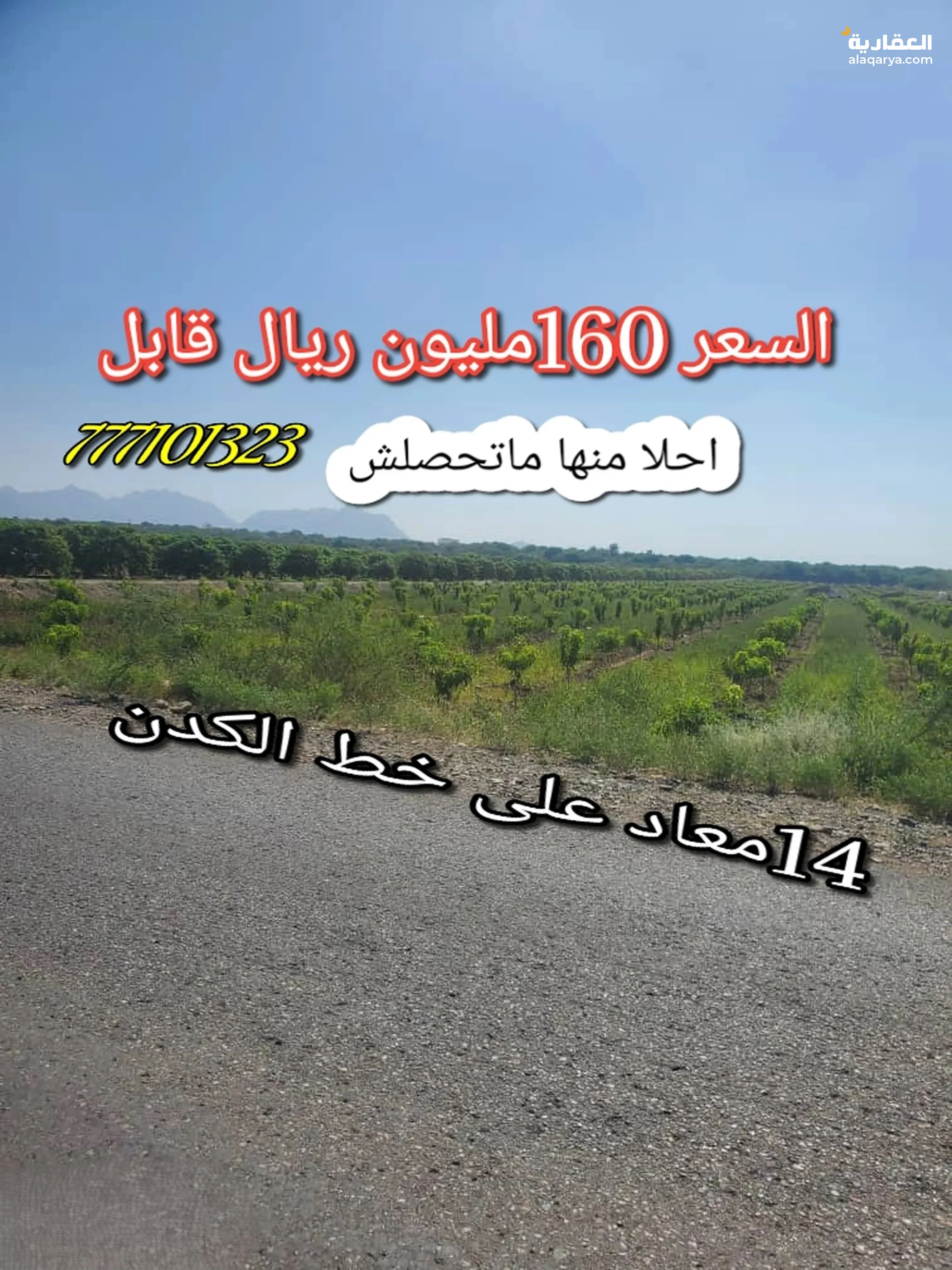 #مزرعة14معاد مانجو على الزفلت الحديدة الكدن للبيع بسعر مغري جدا جدا