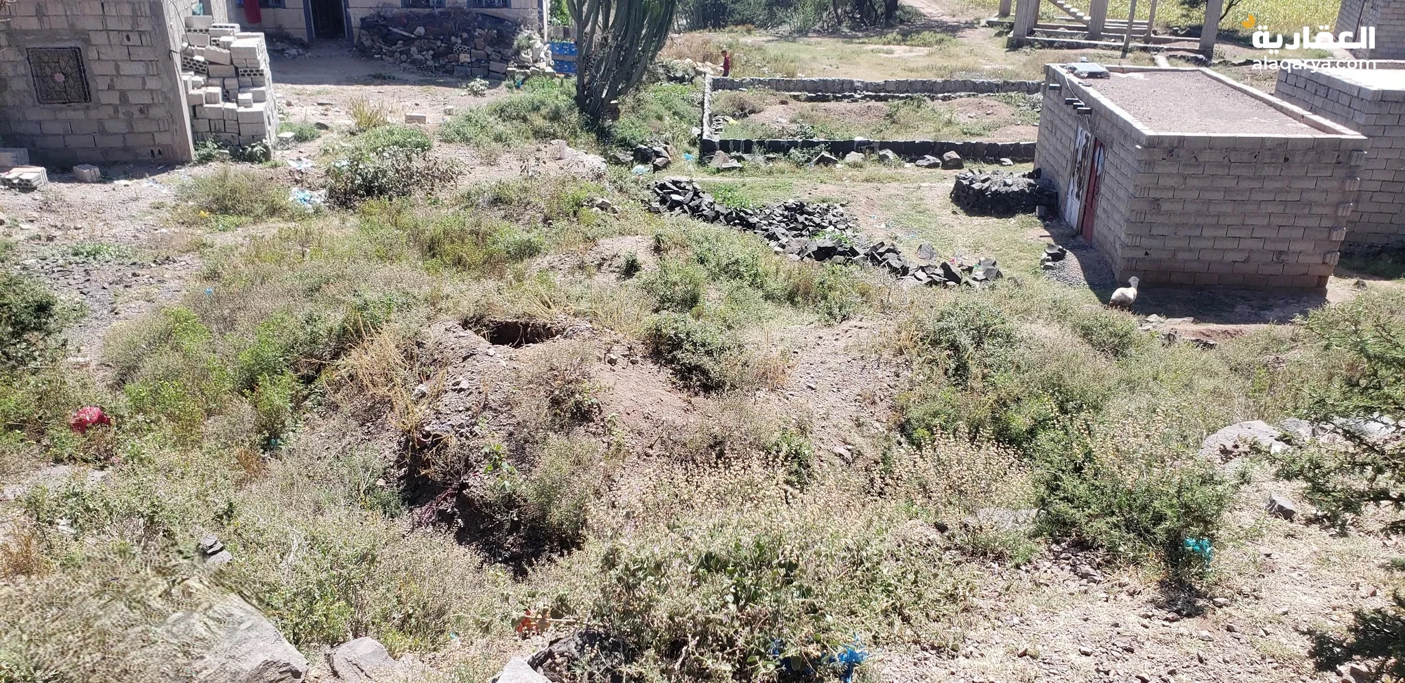 #ارضيه اربع 4 قصب مربعه