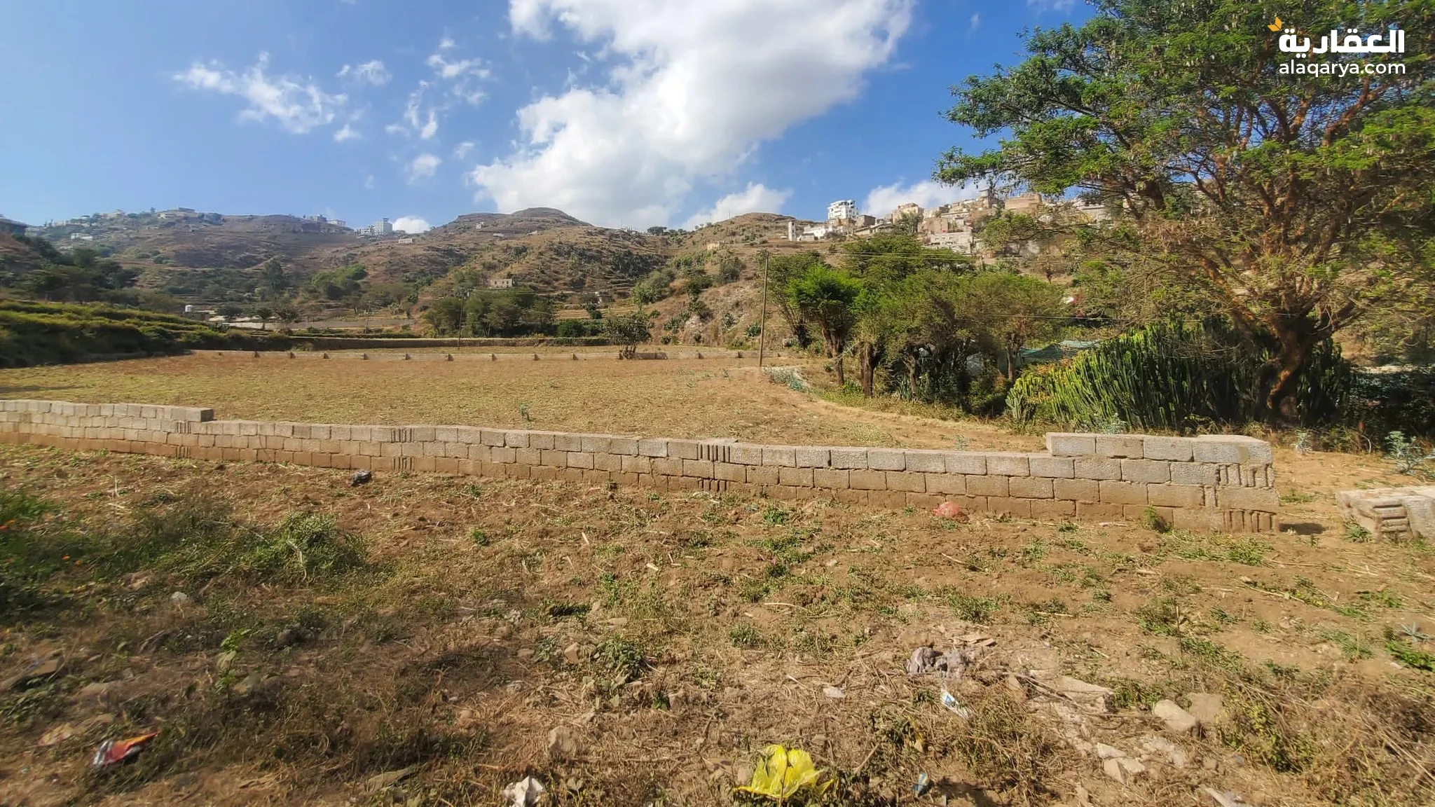 #ارض،عرطة،جداللبيع،في،اب