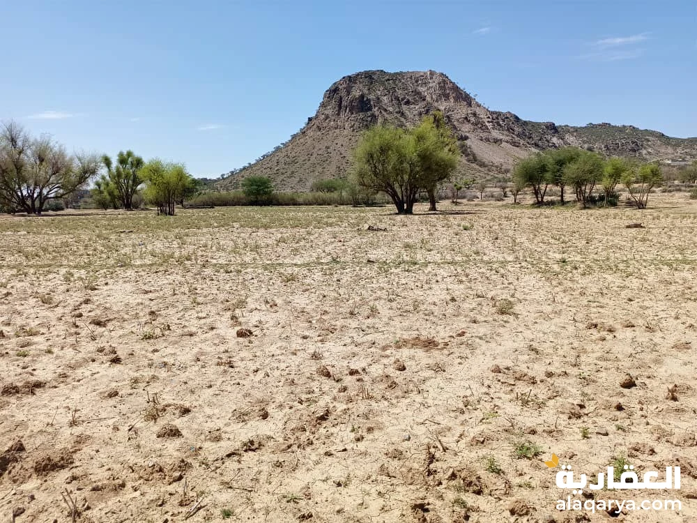 أرضية سته الف قصبه تعز الحوبان شارع الخمسين لمن يرغب البيع من المالك رأسا