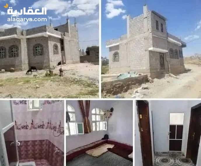 قاع القيضي حي البورزان