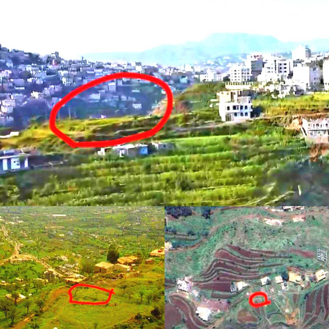 قطعة أرض سكنية للبيع في مدينة إب