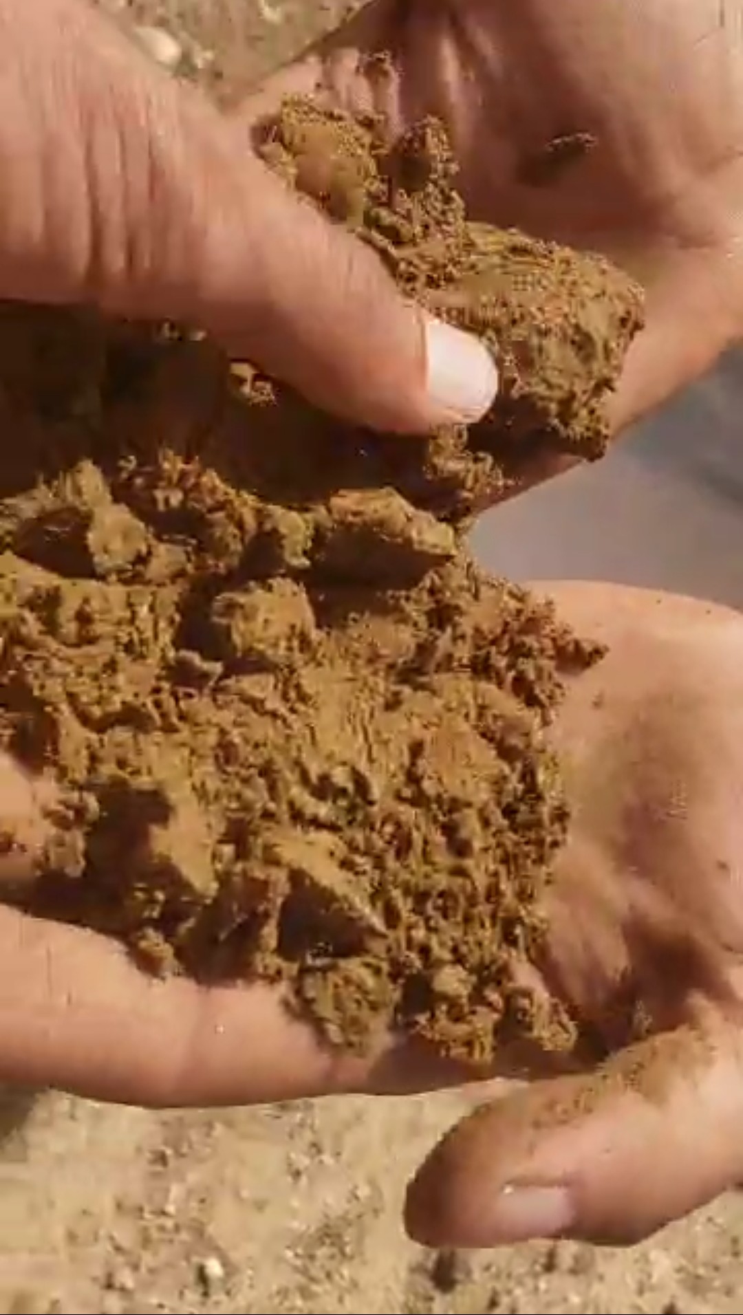 اعلان رقم 318 للايجلر ارض زراعيه