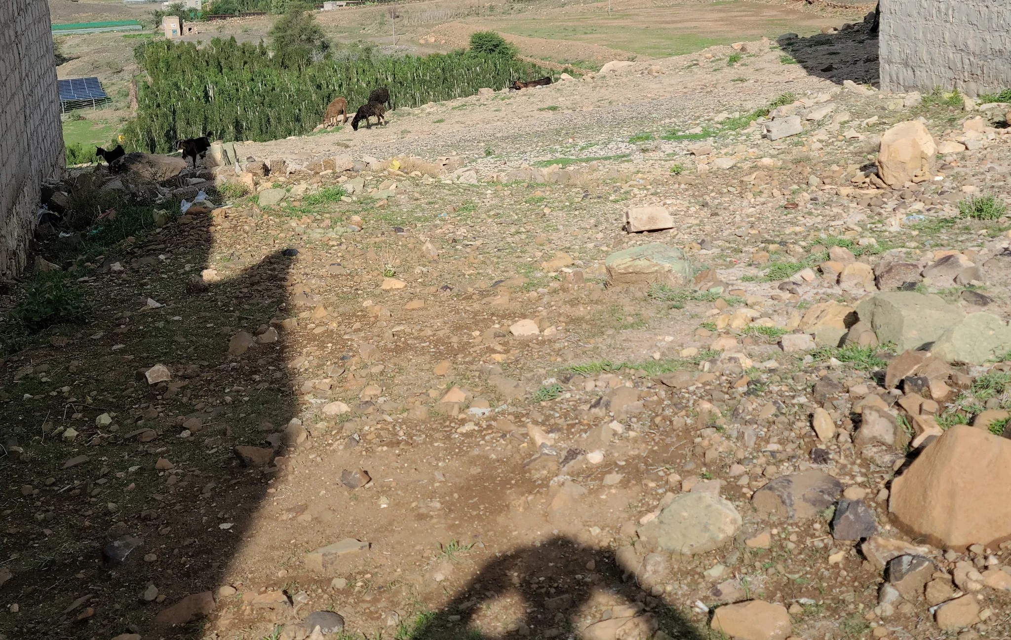 #أرضية 5 لبن...