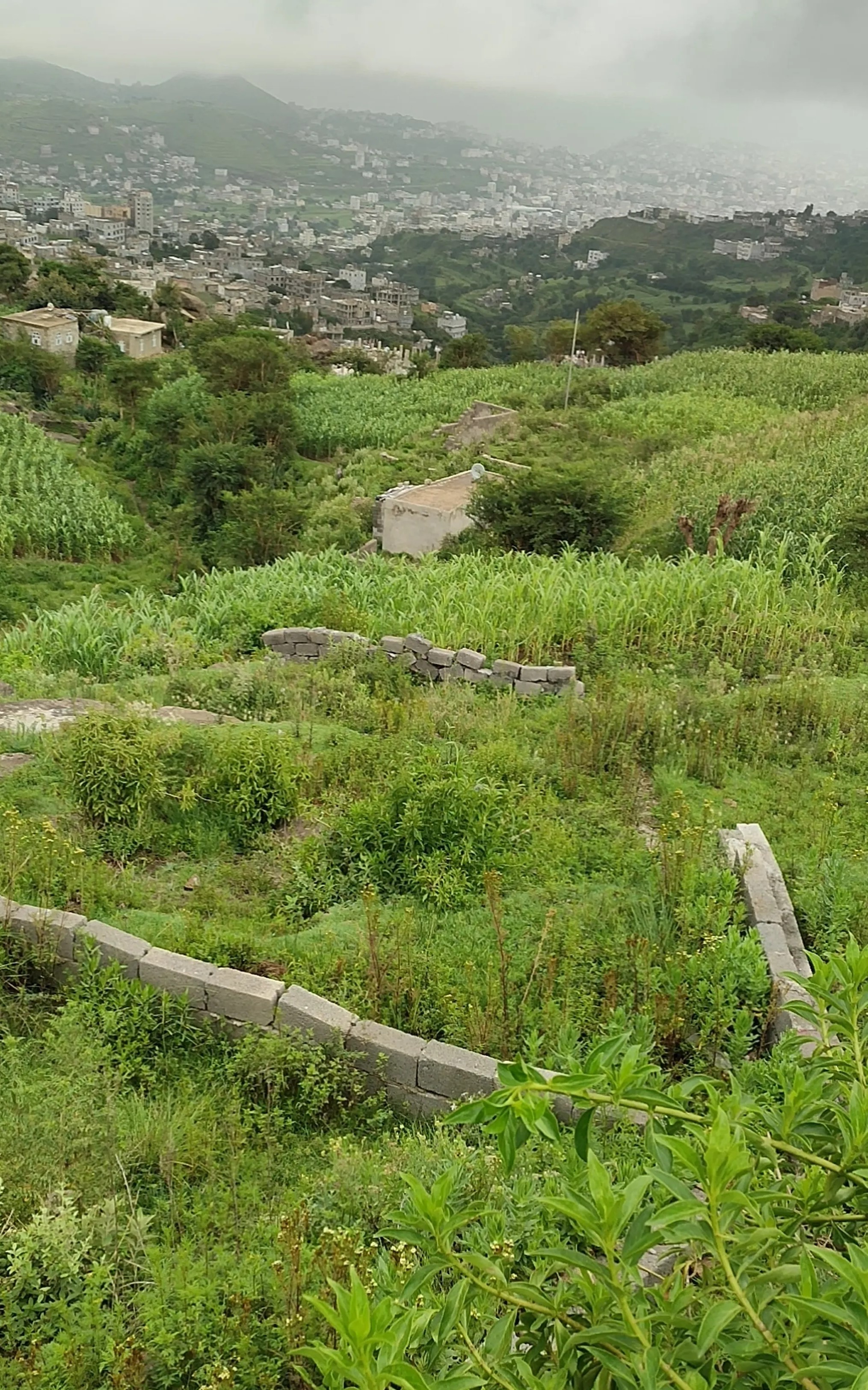 #ارضية للبيع