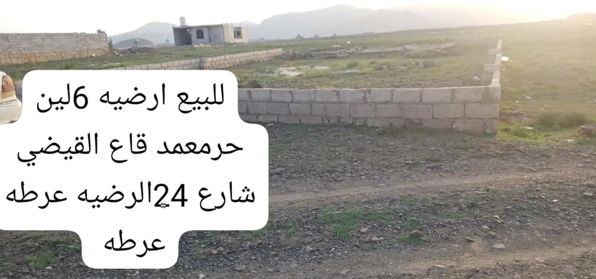 #للبيع 6لين قاع القضي عرررطه شارع 24