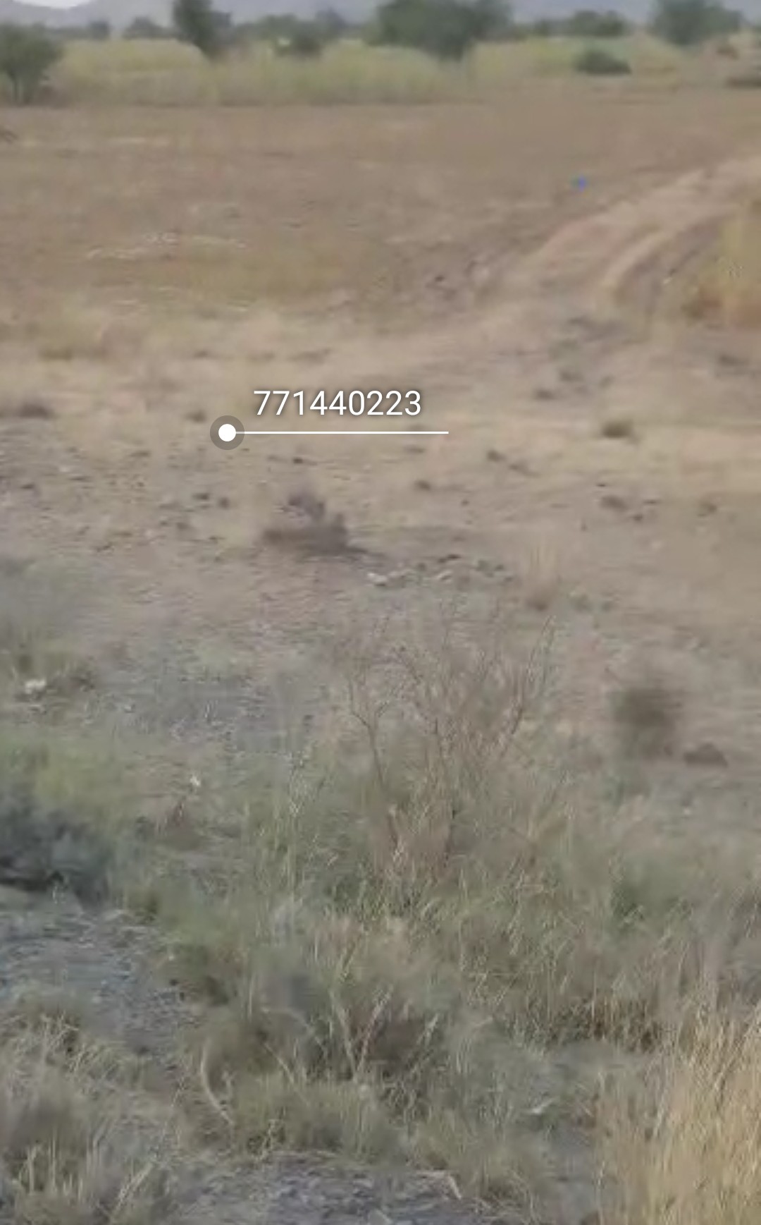 اعلان رقم 1240 للبيع ارض زراعيه وتجاريه الحديده