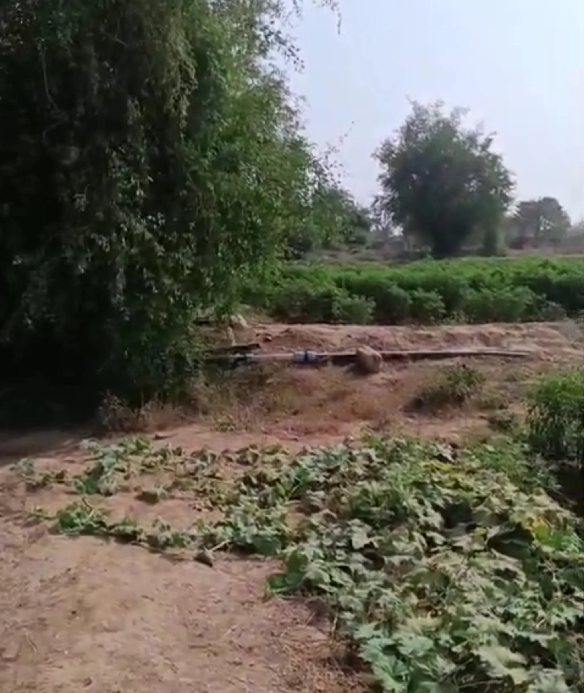 #مزرعه نموذجيه للبيع على خط حجه الخشم مساحتها 20 معاد