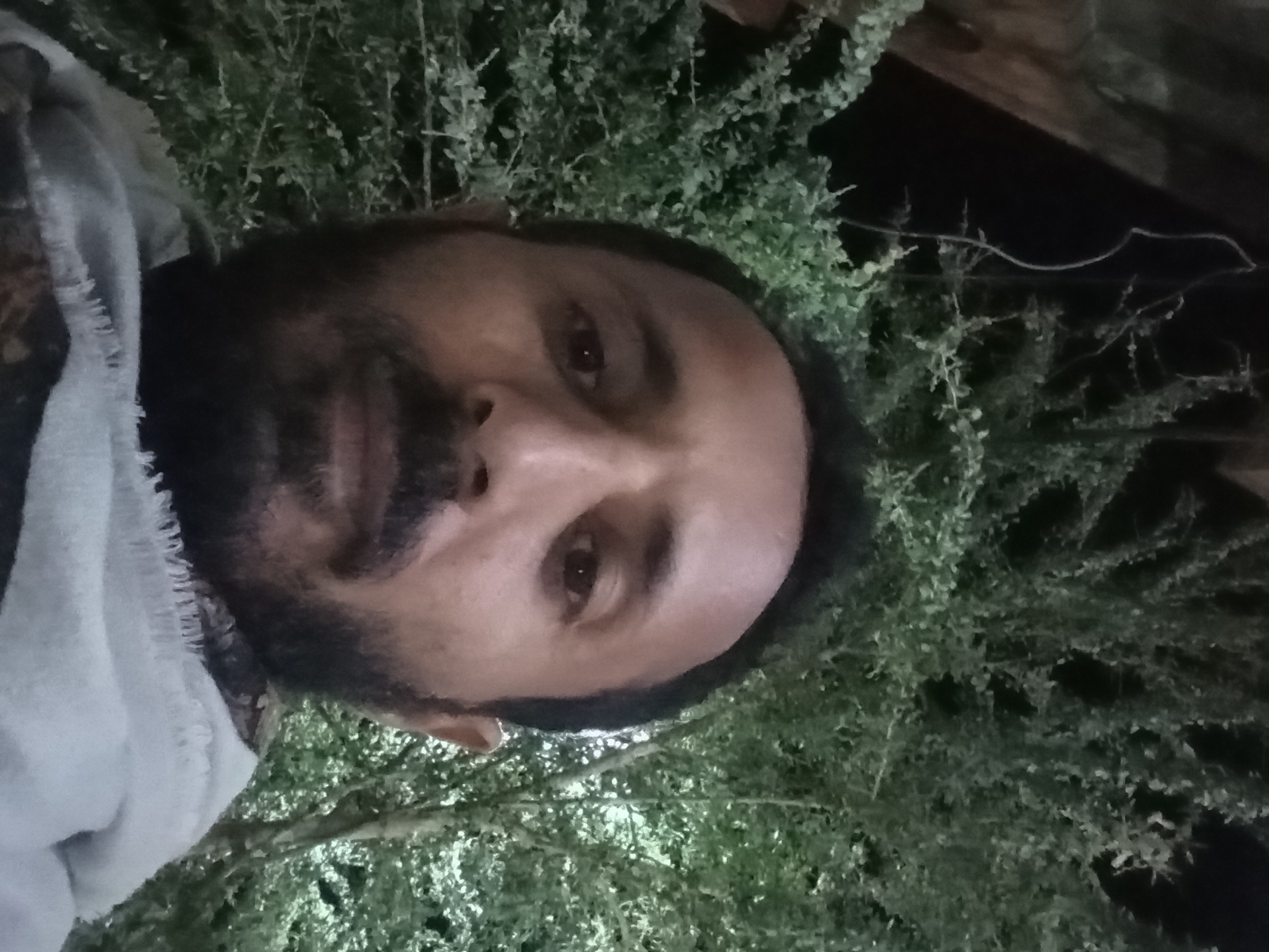 بيت ثلاثه دور