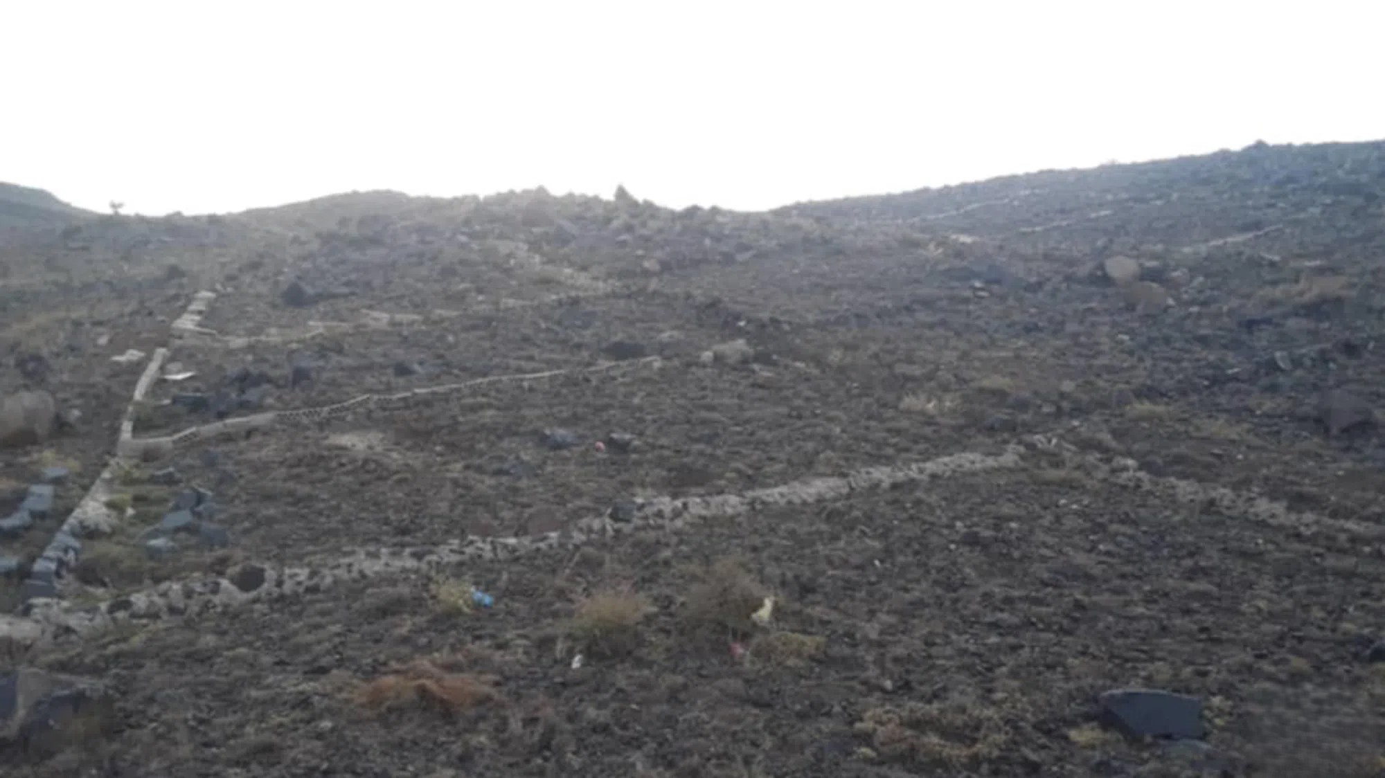 #ارض للبيع 3 لبن عرطة حدة الجديده العشاش