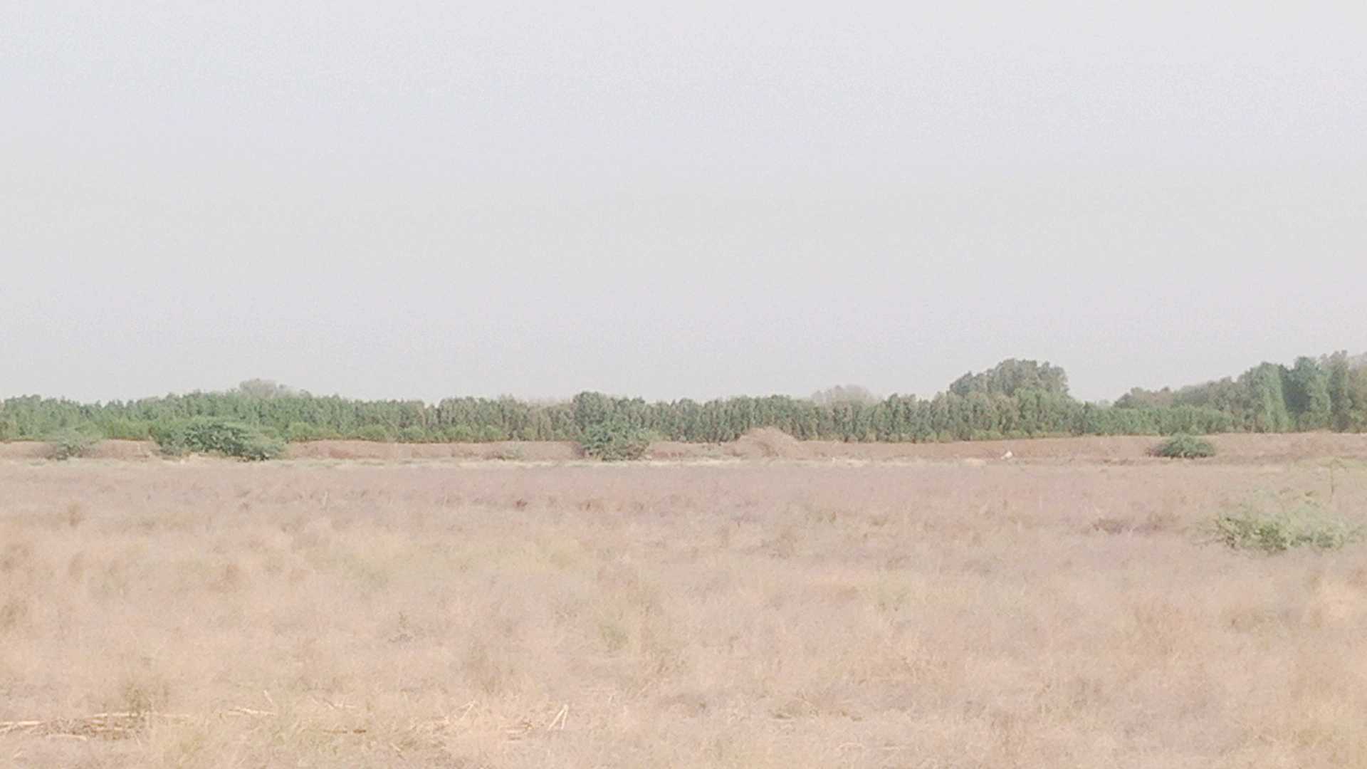 الحديدة شرق مفرق الصليف