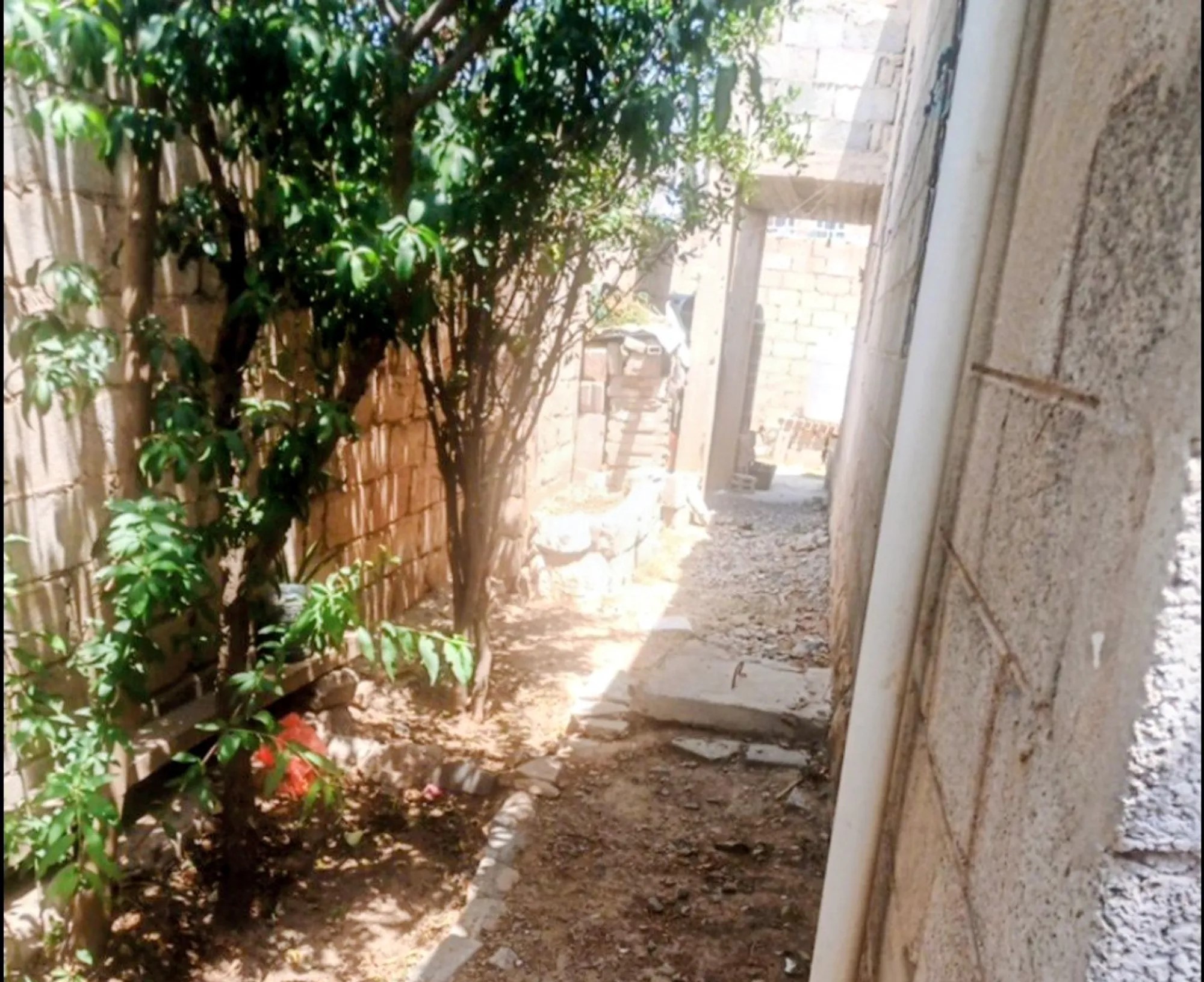 #بيت للبيع في حزيز دور واحد" أو "بيت دور واحد للبيع - حزيز